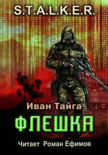 Аудиокнига S.T.A.L.K.E.R. Флешка