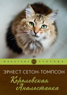 Аудиокнига Королевская Аналостанка