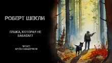 Аудиокнига Пушка, которая не бабахает