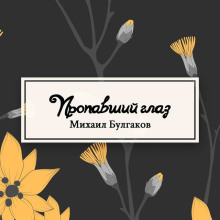 Аудиокнига Пропавший глаз