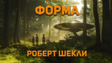 Аудиокнига Форма