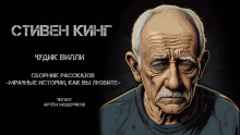 Аудиокнига Чудик Вилли