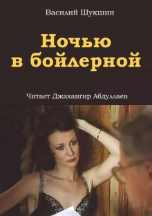 Аудиокнига Ночью в бойлерной
