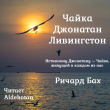 Аудиокнига Чайка по имени Джонатан Ливингстон