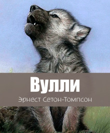 Аудиокнига Вулли