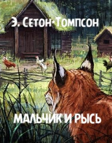 Аудиокнига Мальчик и рысь