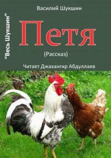 Аудиокнига Петя