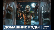 Аудиокнига Домашние роды