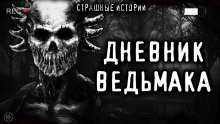 Аудиокнига Дневник Ведьмака