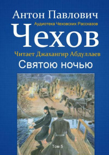 Аудиокнига Святою ночью