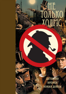 Аудиокнига Загадка тринадцатой камеры