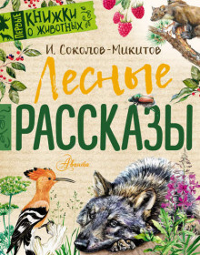 Аудиокнига Детство