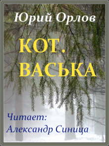 Аудиокнига Кот. Васька