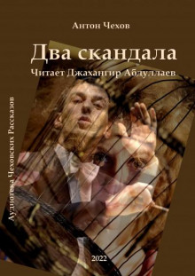 Аудиокнига Два скандала