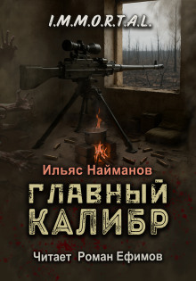 Аудиокнига Главный калибр