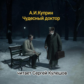 Аудиокнига Чудесный доктор