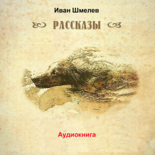 Аудиокнига Последний выстрел